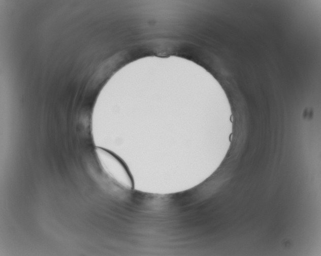 X0000113210288200910221109