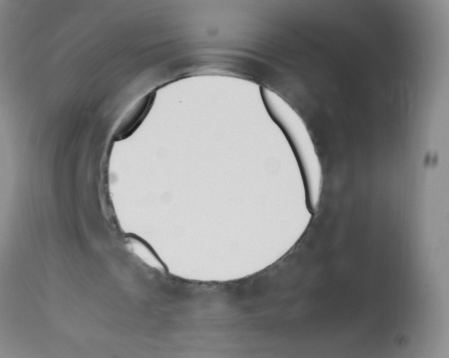 X0000113210289200910221109