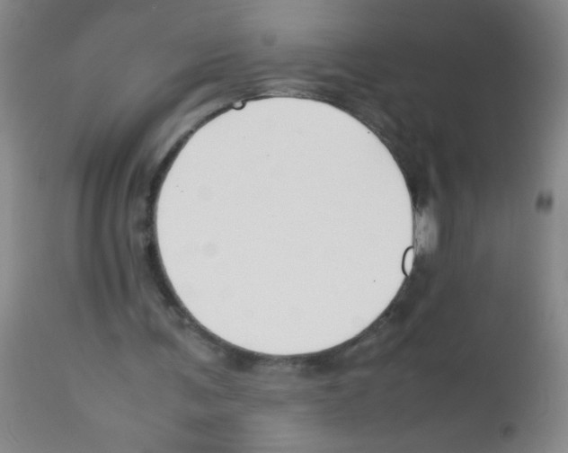 X0000113210291200910221109