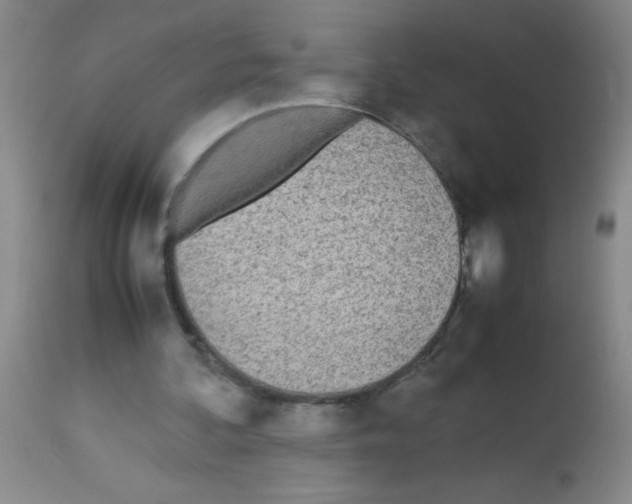 X0000113210292200910221109