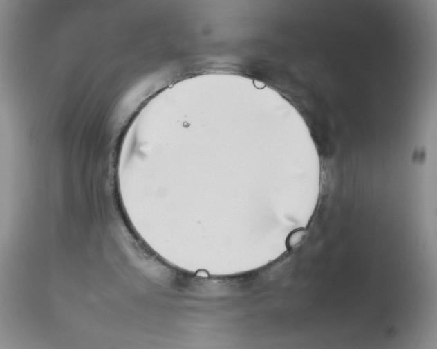 X0000113210293200910221109