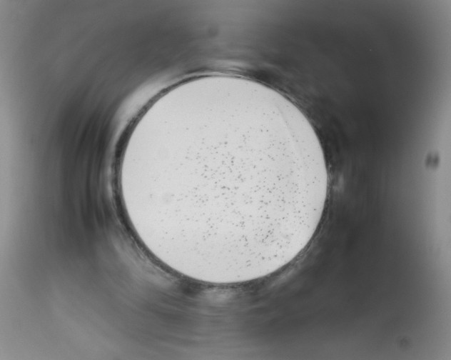 X0000113210294200910221109