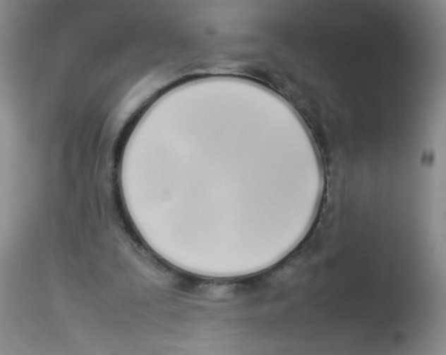 X0000113210295200910221109