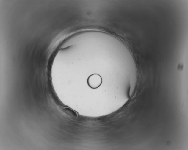 X0000113210296200910221109