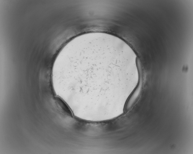 X0000113210297200910221109