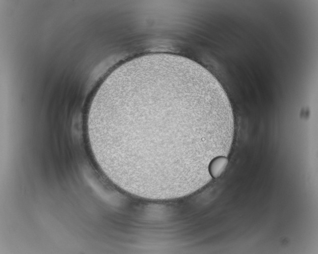 X0000113210298200910221109