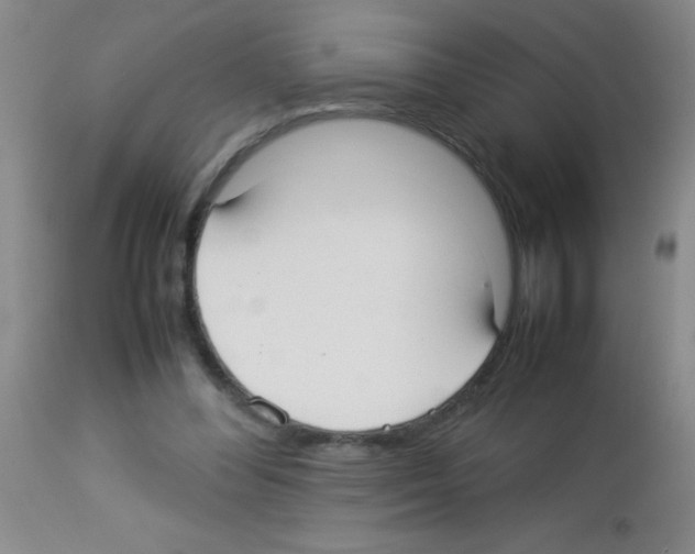 X0000113210300200910221109