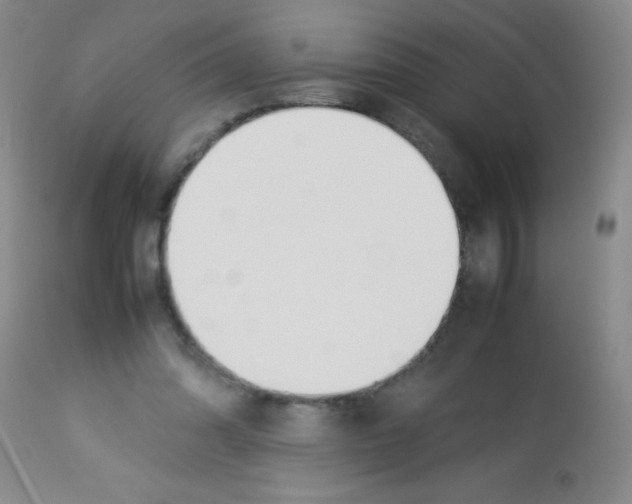 X0000113210302200910221109