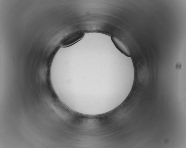 X0000113210304200910221109