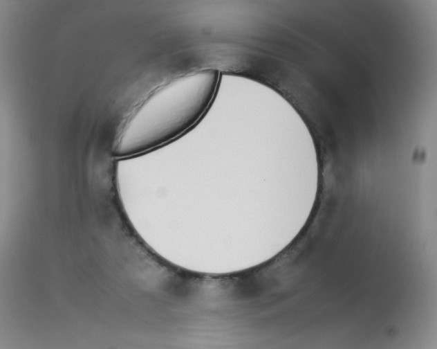 X0000113210305200910221109