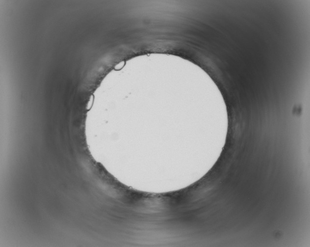 X0000113210307200910221109