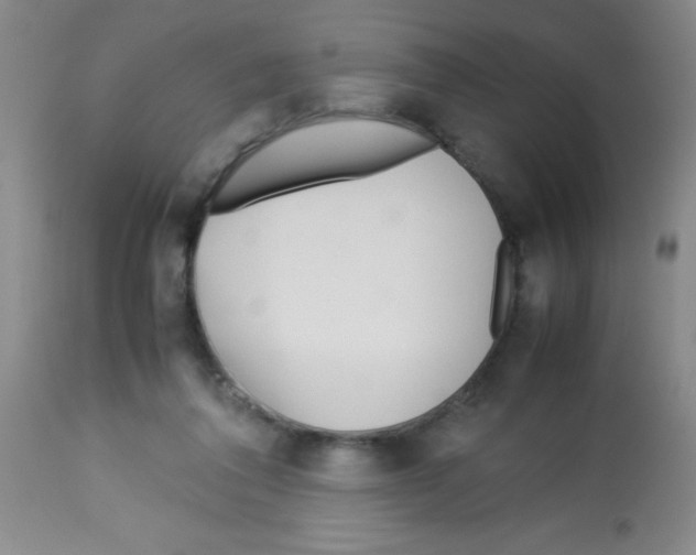 X0000113210308200910221109