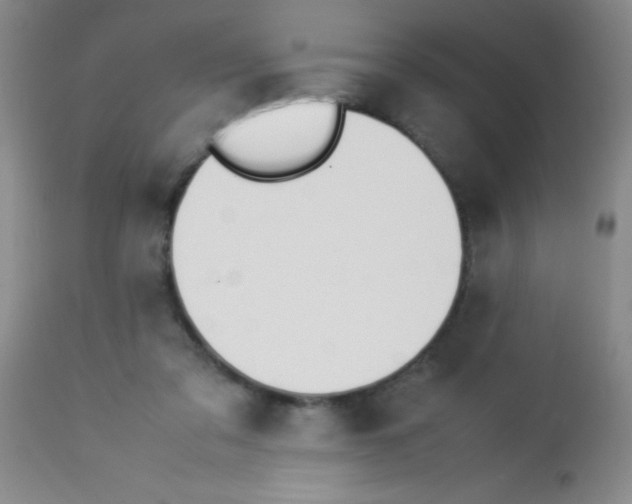 X0000113210309200910221109