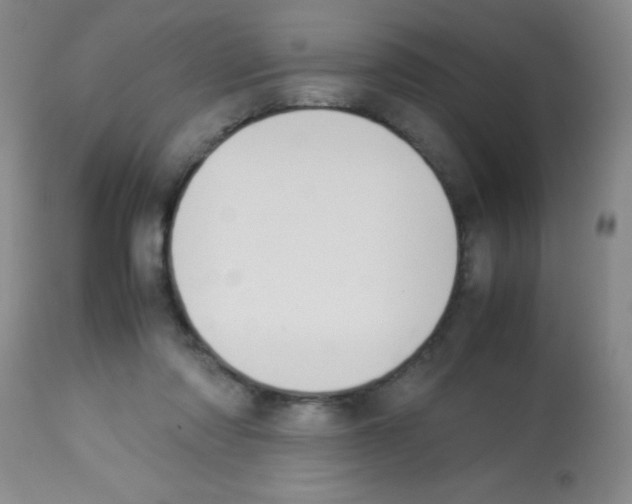 X0000113210310200910221109