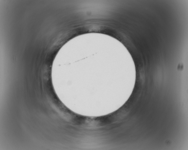 X0000113210311200910221109