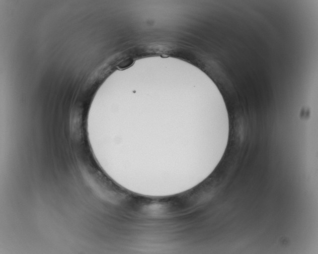 X0000113210312200910221108