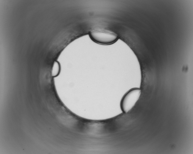 X0000113210313200910221108