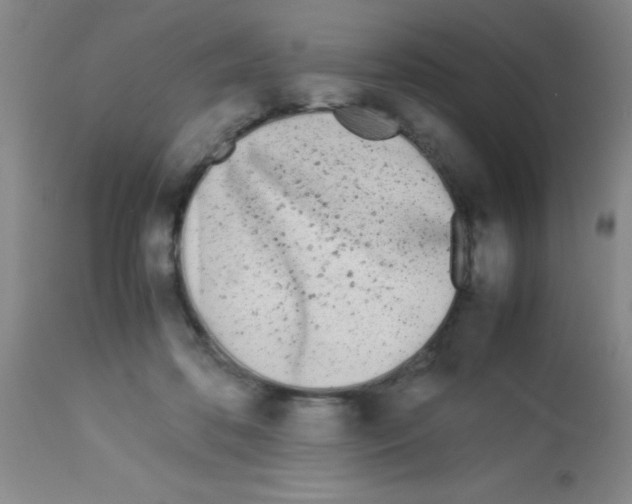 X0000113210316200910221108