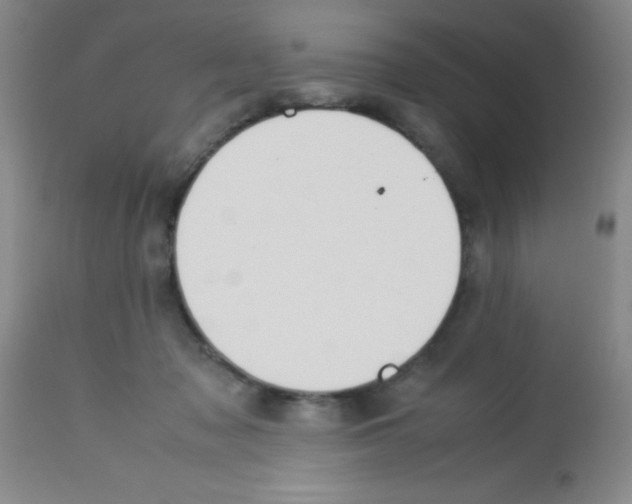 X0000113210317200910221108