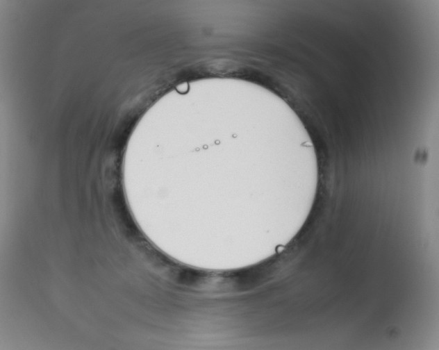 X0000113210319200910221108