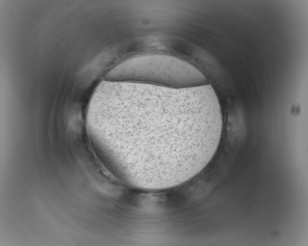 X0000113210320200910221108