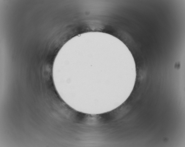 X0000113210321200910221108