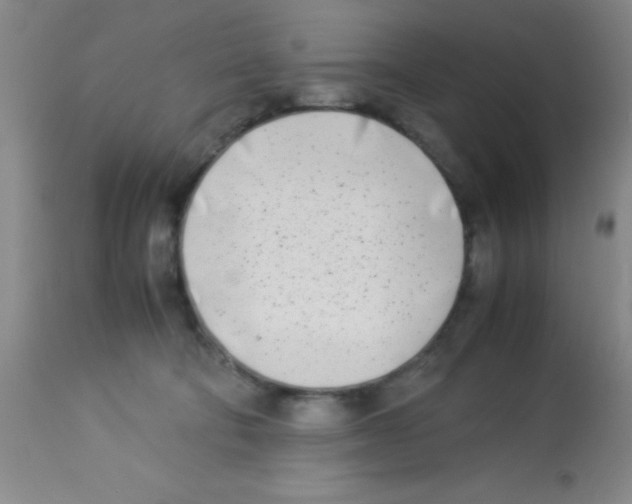 X0000113210322200910221108