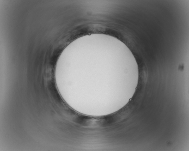 X0000113210323200910221108