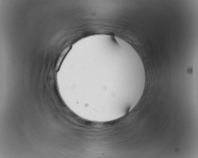 X0000113210325200910221108