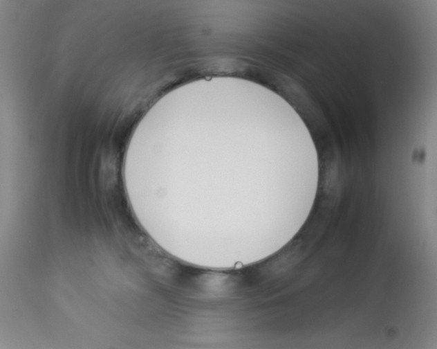 X0000113210326200910221108