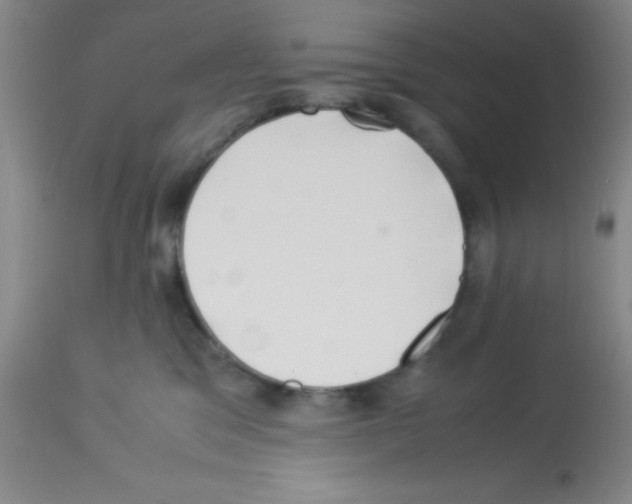 X0000113210329200910221108