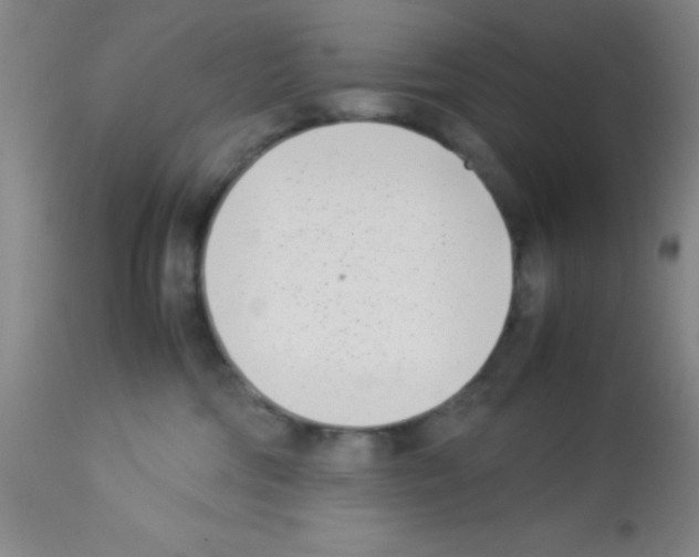 X0000113210330200910221108