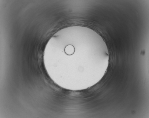 X0000113210332200910221108