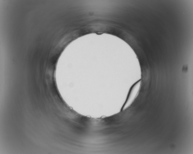 X0000113210333200910221108