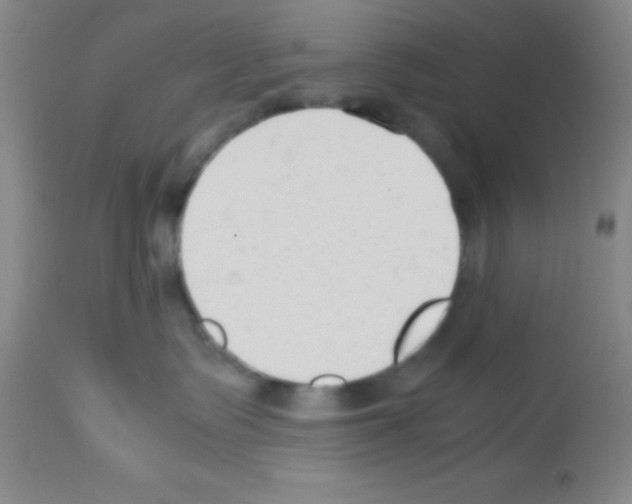 X0000113210335200910221108