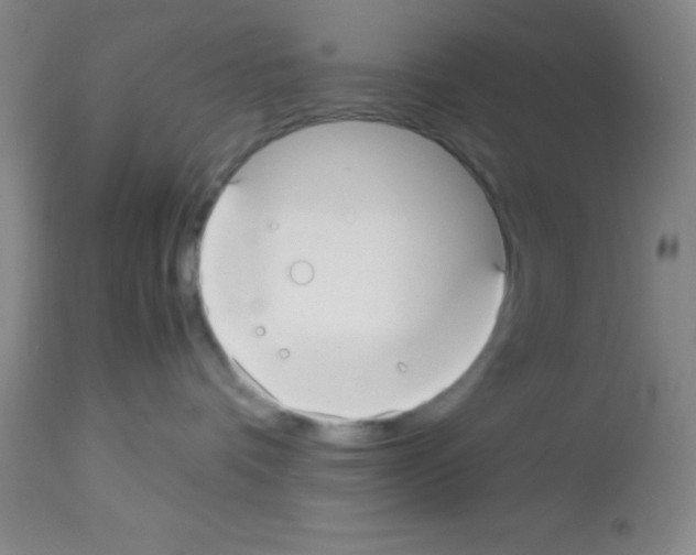 X0000113210336200910221108