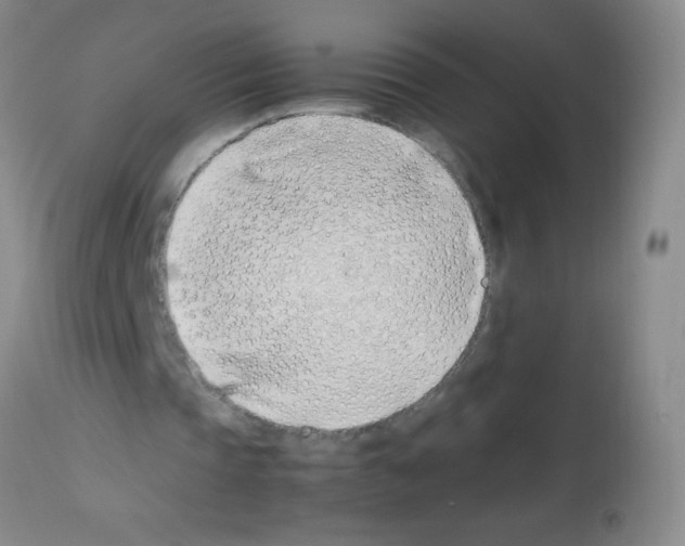 X0000113210337200910221107