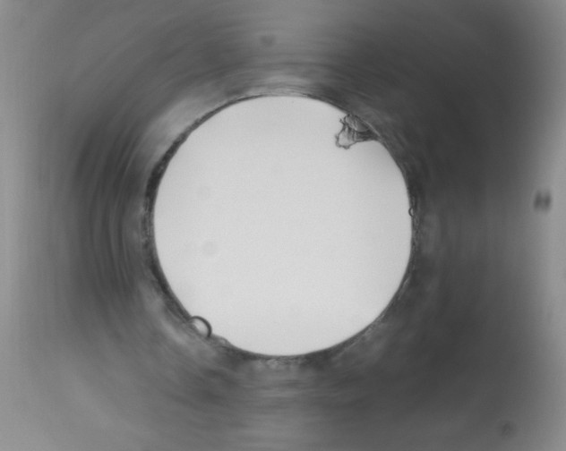 X0000113210338200910221107