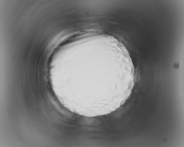 X0000113210339200910221107