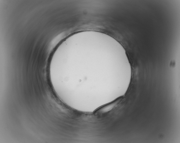 X0000113210340200910221107