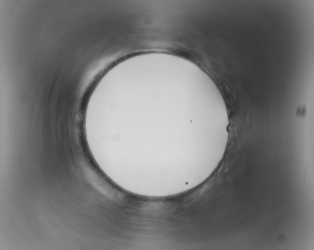 X0000113210342200910221107