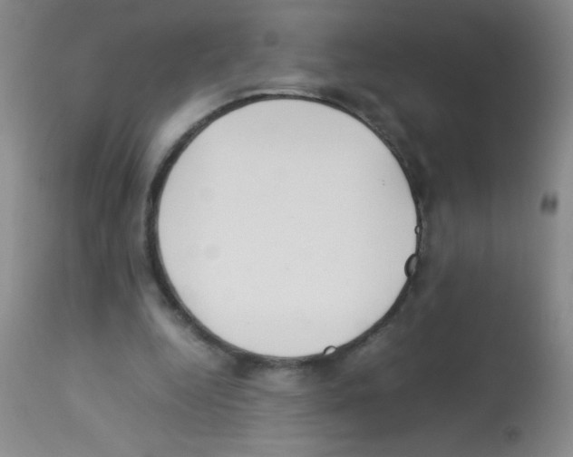 X0000113210344200910221107