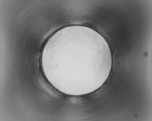 X0000113210346200910221107