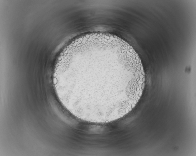 X0000113210347200910221107