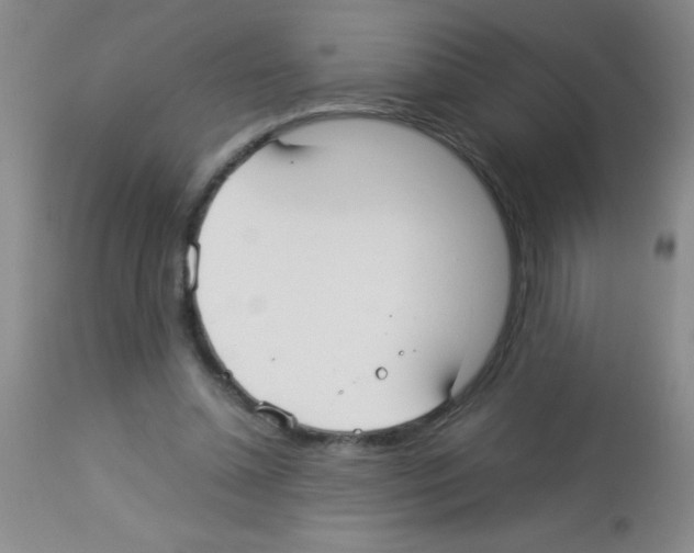 X0000113210348200910221107