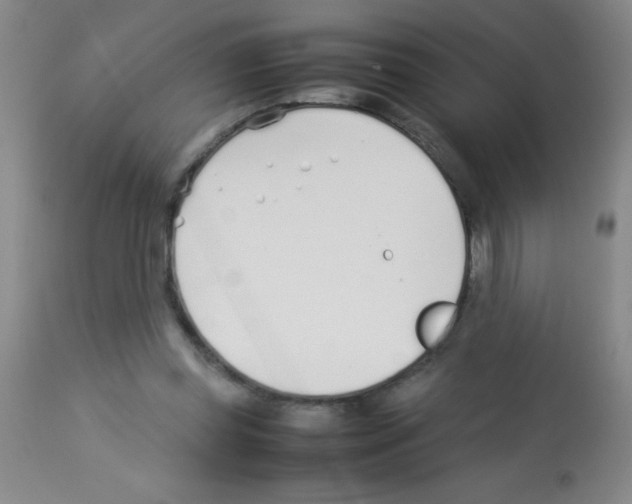 X0000113210349200910221108