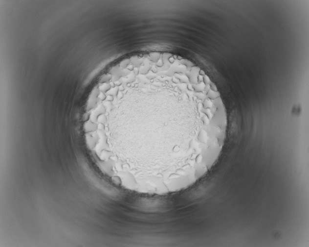 X0000113210351200910221108