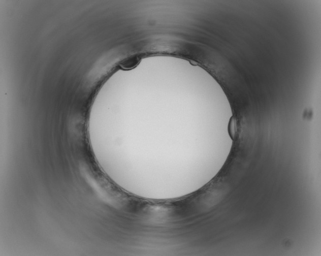 X0000113210352200910221108