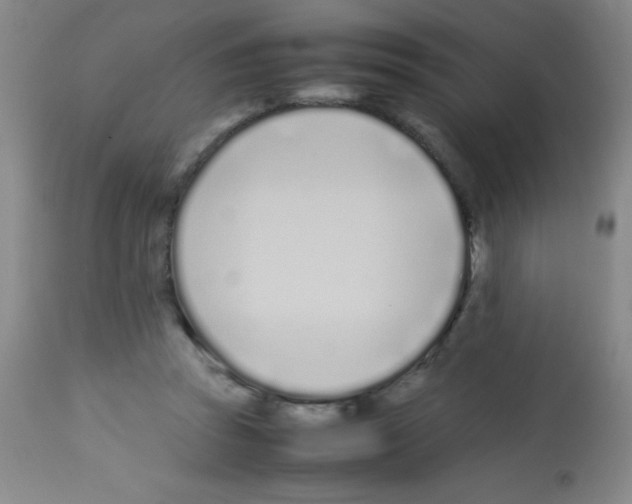 X0000113210353200910221108