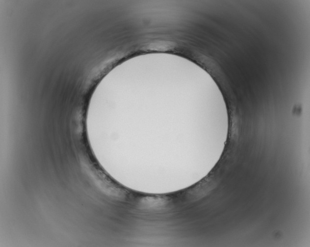 X0000113210354200910221108